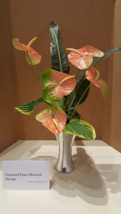 Pale pink anthuriums rise in a vertical arrangement from a silver base punctuated by three long and narrow forest green leaf spears.
